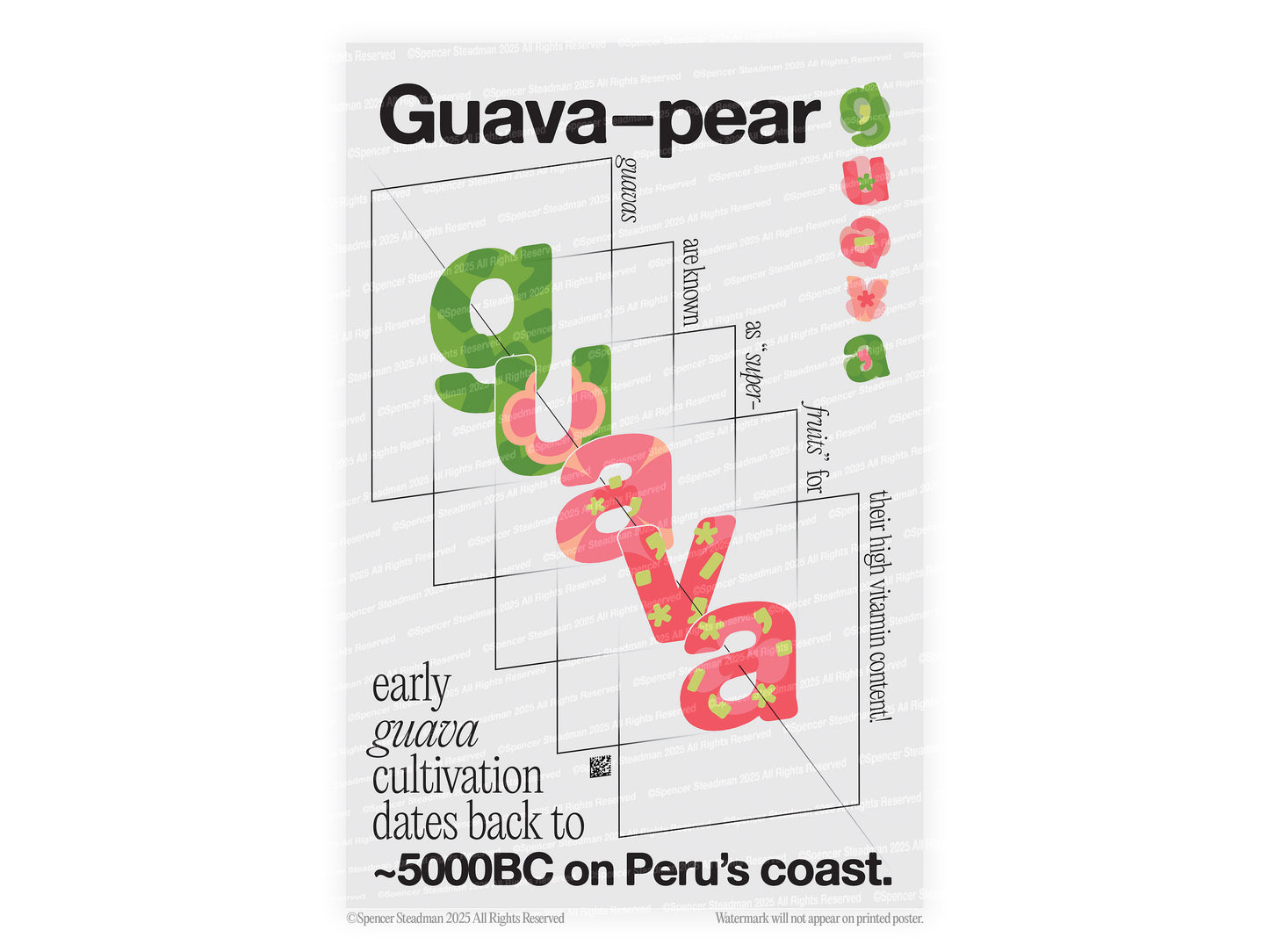 [b] Guava—pear Dissection Poster Print