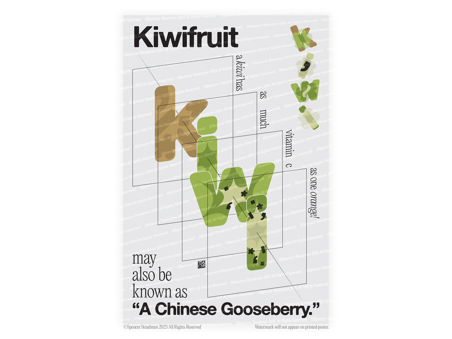 [b] Kiwifruit Dissection Poster Print